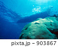 h-tk136