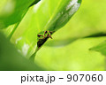グリーングリーン