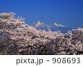桜と八ヶ岳連峰