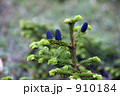 910184