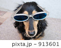 サングラスをしたミニチュアダックス
