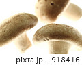 しいたけ