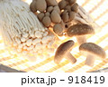 きのこ盛り合わせ
