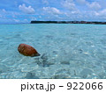海に浮かぶココナッツ