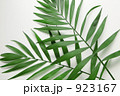 ヤシの葉