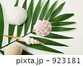 ヤシの葉