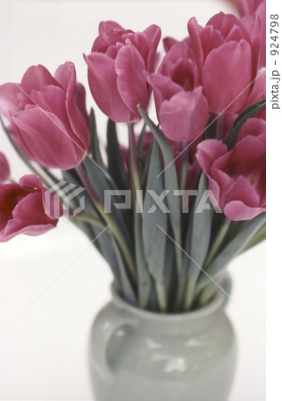 花 チューリップ 桃色