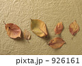 落ち葉