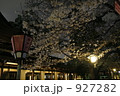 ライトアップ　夜桜