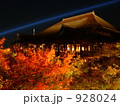 紅葉と清水の舞台のライトアップ