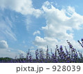 ラベンダーと空