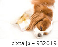 932019