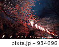 夜桜と提灯