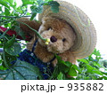 このお花　嗅いでみよ