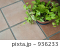 936233