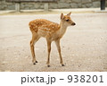 小鹿