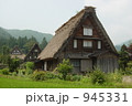 初夏の白川郷