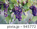 945772