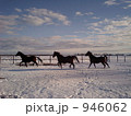 雪原駆ける愛馬達