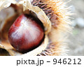 いが栗