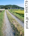 秋の田舎道