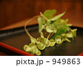 むかごの花 むかごの花