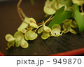 むかごの花 むかごの花