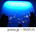 幻想的な水族館