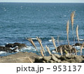海岸 海岸