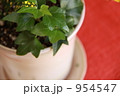 954547