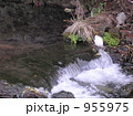 955975