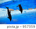 イルカ