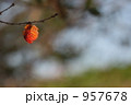 小さい秋みつけた（２）