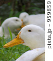 959859