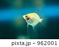 962001