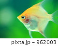 962003