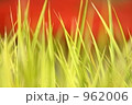 962006