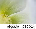 962014