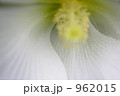 962015