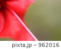 962016