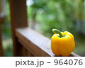 964076