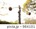 団栗で作ったヤジロベエ