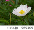 969309