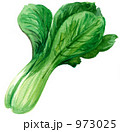 チンゲン菜