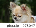 うつむきかげん