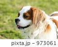 キャバリア　これから走る
