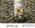 ミズを飲む