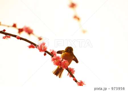春を謳う