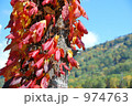 初秋の紅葉