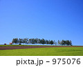 秋空の丘